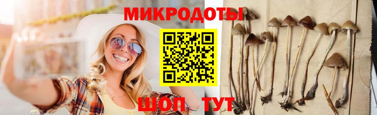 Псилоцибиновые грибы GOLDEN TEACHER Отрадный
